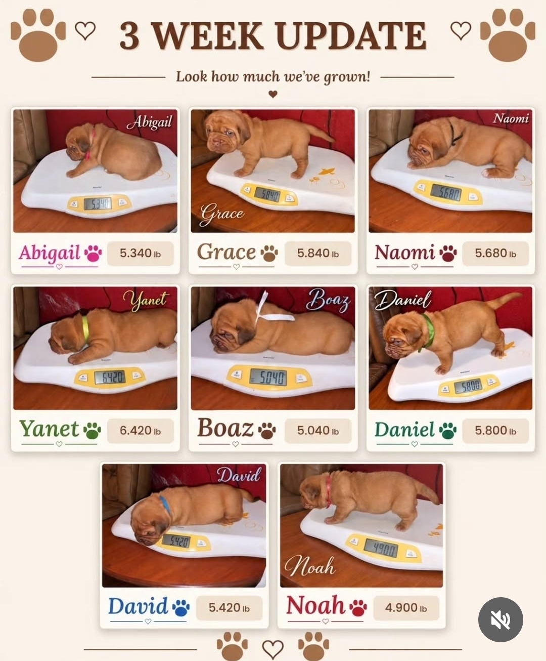 3 weeks old